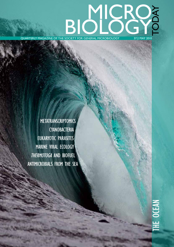 MT0510Cover