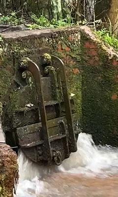 A combined sewer outlet spilling into the River Rivelin, at the Rivelin Valley in Sheffield.