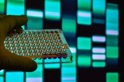 DNA testing iStock/1138021018_sergunt