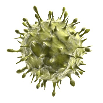 Green virus
