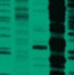 Microbial Genomics