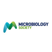MS-logo.jpg