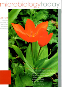 Cover of Microbiology Today, issue of May 2005