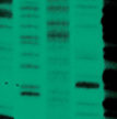 news-MGen-thumbnail.jpg