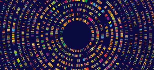 Banner with a colourful concentric circular pattern on a dark background.