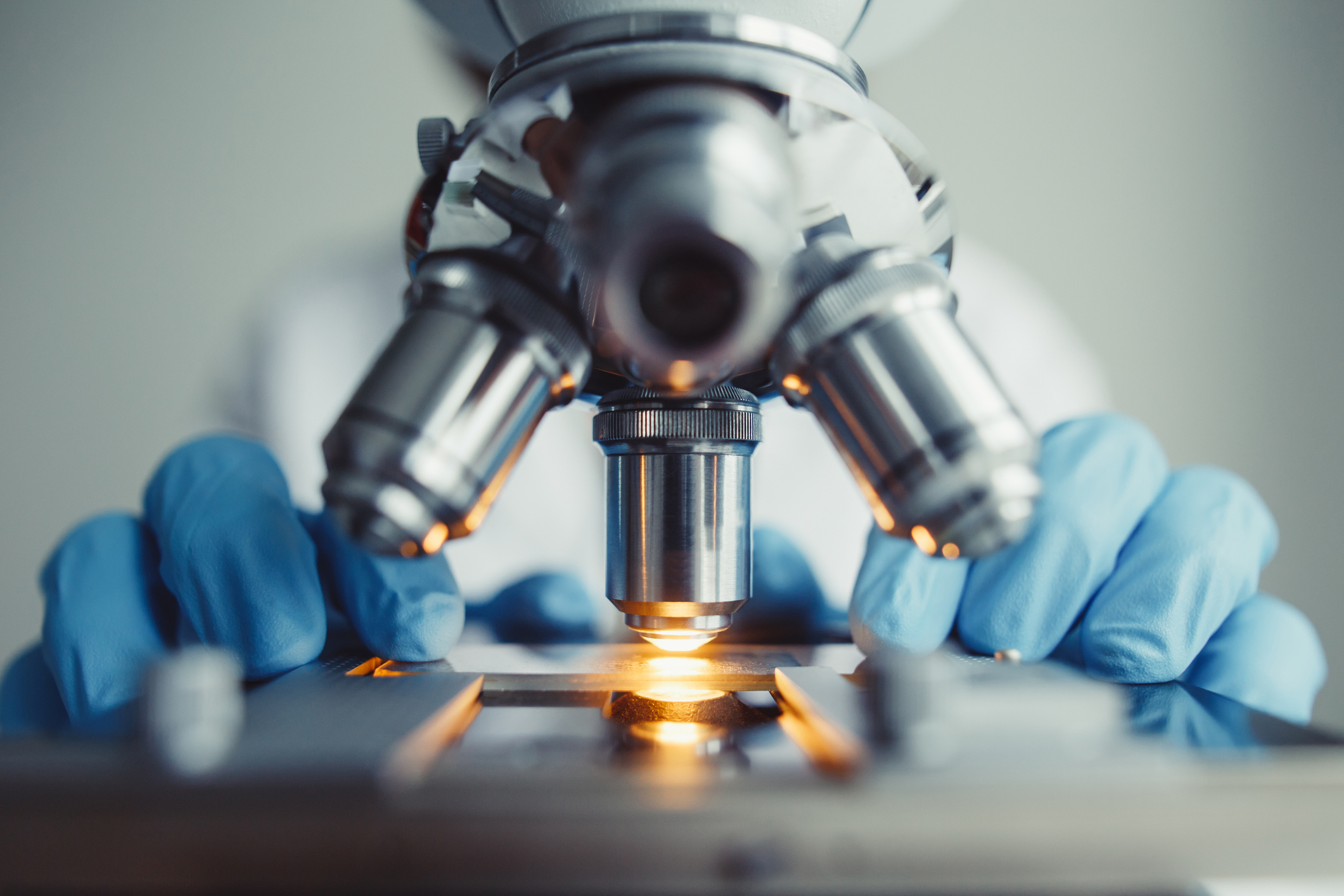 Under the Microscope.jpg