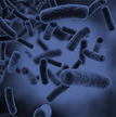 Microbiology 220x220.png